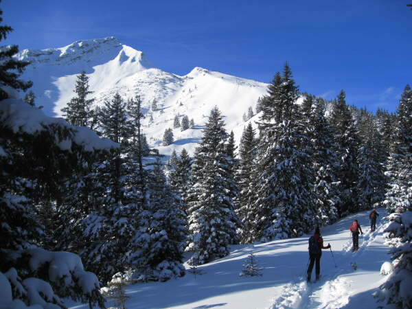 Scheinbergspitze